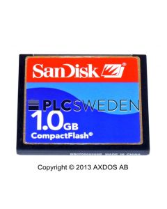 SanDisk 1GB Flash (1GBSanDisk)